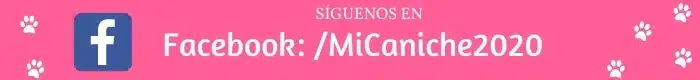 facebook oficial page pagina oficial de micaniche