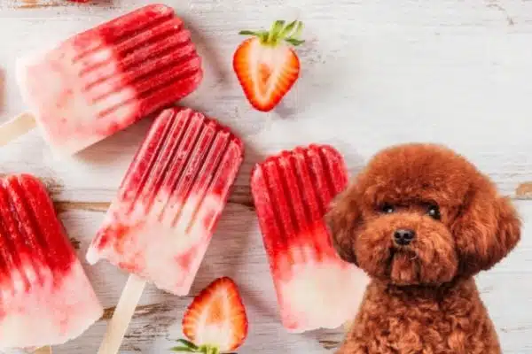 receta de helado para perros
