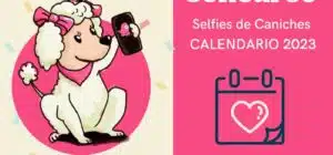 Nuevo Concurso en Instagram para Calendario 2023
