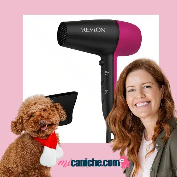 Secador de pelo Revlon