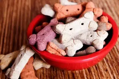 Cuántas chuches se le puede dar a un perro