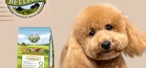 pienso sin cereales para perro