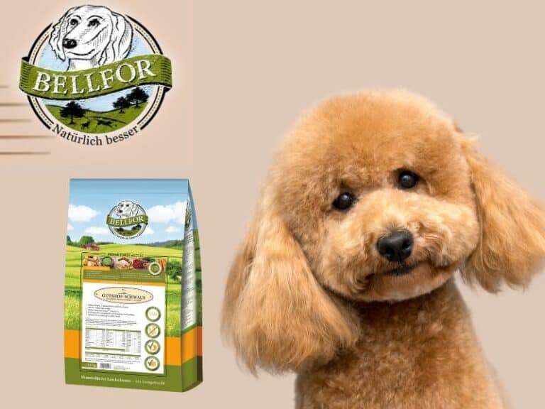 pienso sin cereales para perro