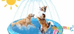 Bañera de agua para perro