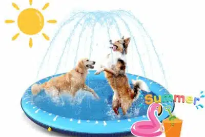 Bañera de agua para perro: diversión y cuidado para los perros en verano